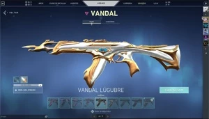 Conta Valorant Platina Varias Skins