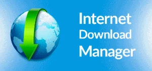 Internet Download Manager - Outros