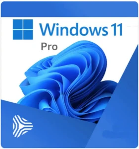 Windows 11 pro