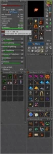 DRUID LVL 525 (GENTEBRA - SERVER BR) + PALADIN LV 300 - Tibia