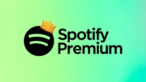 Spotify (3 Meses) - Link de ativação - Gift Cards