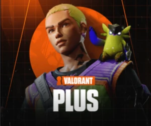 Valorant Plus - Outros