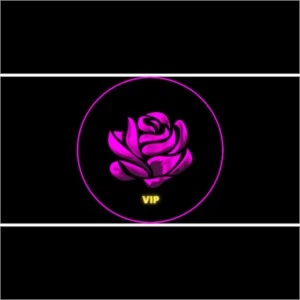 SALA DE SINAIS FLOWERS VIP - Redes Sociais