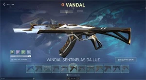 Conta valorant com mais de R$2000 gastos
