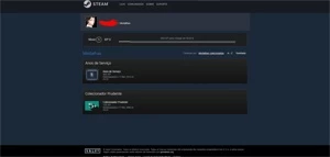 CONTA OLD 8 ANOS DE SERVIÇO (STEAM) - Counter Strike CS