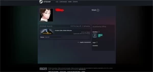 CONTA OLD 8 ANOS DE SERVIÇO (STEAM) - Counter Strike CS