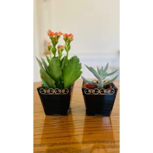 Kit Mini Vaso para Suculentas em MDF, cachepot. 6x6,4cm... - Artesanato e Personalizados