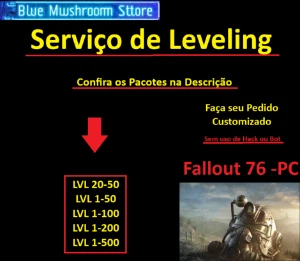 Fallout 76 PC - Serviço de Leveling (NOVO) - Outros