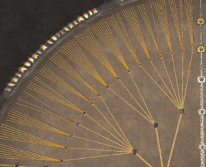 Conta Albion - Albion Online