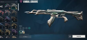 conta valorant com muitas skins 🔥