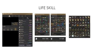 704 GS - E-mail - Família - Lifeskill Upada - Black Desert