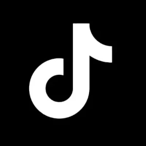 10.000 Mil Seguidores Tiktok Premium - Social Media