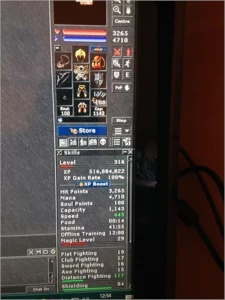 char Tibia 316 paladin