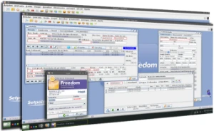 Erp Para Empresas Freedom - Envio Imediato Sistema de Gestão - Outros