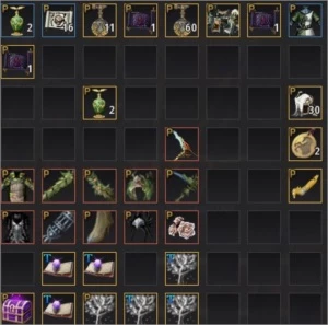 Sorceress 266 Nouver SA - Black Desert