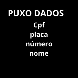 Puxo CPF, Número de telefone, placas e outros - Serviços Digitais
