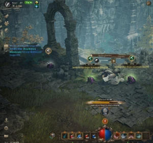 Char Lvl.25  - [ Mir M ] - Outros
