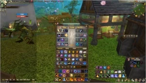 Vendo mago Gemini barato. - Perfect World PW
