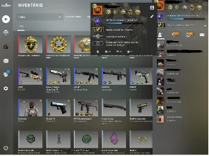 Conta de CS Go envio imediato - Outros