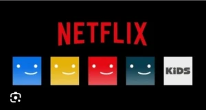 Tela Netflix Privada - Assinaturas e Premium