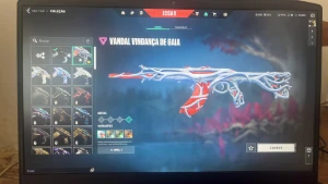 1100 R$ em skins/Pacote Ora/Vandal Gaia-Gatinho/Phantom Game - Valorant