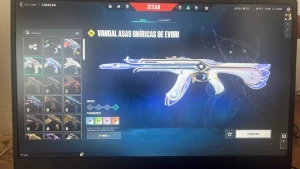 1100 R$ em skins/Pacote Ora/Vandal Gaia-Gatinho/Phantom Game - Valorant