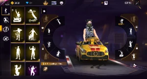 conta Free fire focada no Feminino