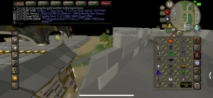 Runescape oldschool hunter 99 RS