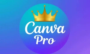 Canva pro 45 dias - Outros