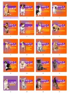 Pack Canva Petshop Vol 2 - 100 Artes Editáveis - Serviços Digitais