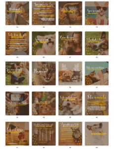 Pack Canva Petshop Vol 2 - 100 Artes Editáveis - Serviços Digitais