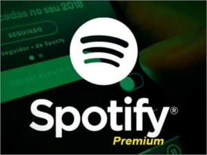 Conta Spotify Premium vitalícia