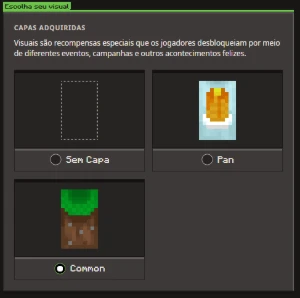 Minecraft Java & Bedrock com Capas  | Full Acesso | Sem Bans