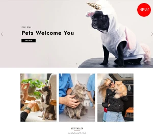 Pater Tema Responsivo Shopify 2.0 PetShop Ração Site WP - Others