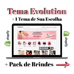 Tema Evolution + Aulas Script Checkout Atualizações e Bonus