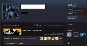 Conta CS:GO 1100+ HORAS /Steam 18-19 anos medalhas 5 10 anos - Outros
