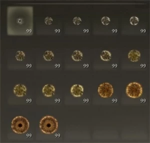 Runas Game Elden Ring ps4/ps5 200 milhões de runas+ brindes - Outros