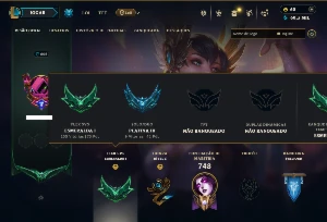 Platina 3 com TODOS os Champs e 238 Skins ( ADC / SUP )