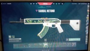 Conta Valorant - Várias Skins