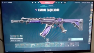 Conta Valorant - Várias Skins