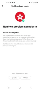 Conta Do Tiktok Monetizada +47,1K Seguidores - Redes Sociais