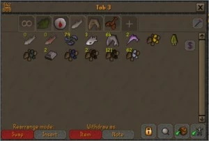 OSRS Account - 176 QP (barrows gloves), pets, full angler - Runescape