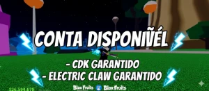 Blox Fruits Cdk + Lvl 2800 + Goduhman + Frutas E Itens