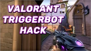 Valorant - Triggerbot (aim assist ) - indetectável