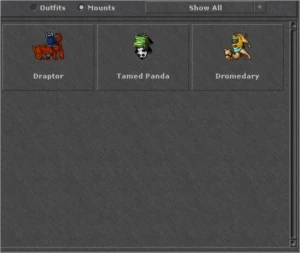 ED 245 GENTEBRA - Tibia