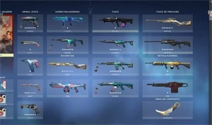Conta valorant com 30 skins compradas + 5 passes completos
