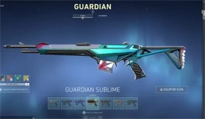Conta valorant com 30 skins compradas + 5 passes completos