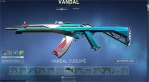 Conta valorant com 30 skins compradas + 5 passes completos