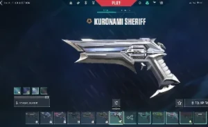 Conta Valorant Full Acesso Com Muitas Skins Compradas