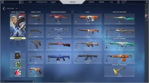 Conta Valorant Com Várias Skins